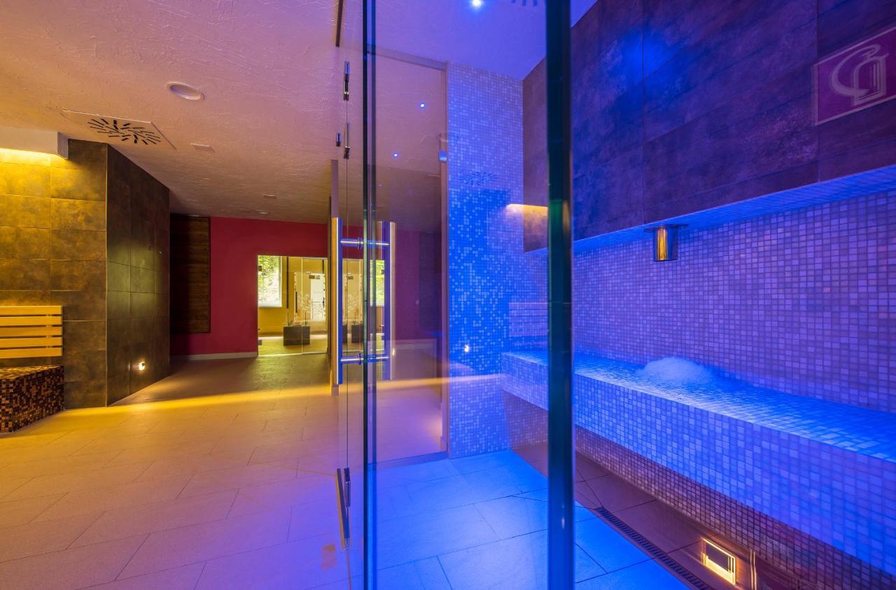 Wellness Penzion Smerdzonka - Kupele Pieniny Červený Kláštor Eksteriør bilde